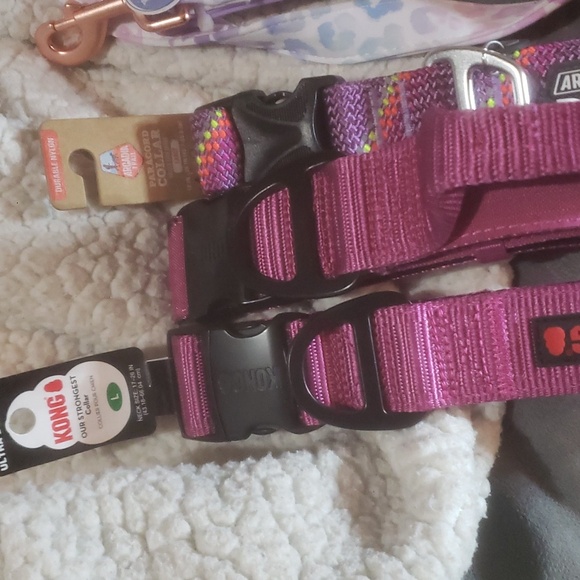 DOG COLLARS AND LEASH BRAND NEW BUNDLE PACK - Picture 2 of 4